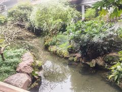 -中国茶叶博物馆(双峰馆区)
