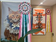 -猫十亿·布偶金渐层·曼基康矮脚猫舍(青年路店)