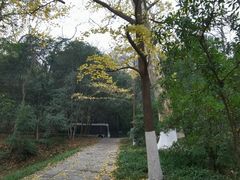 -灵谷景区