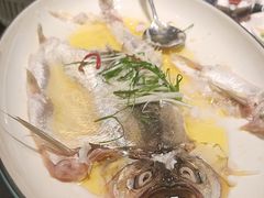 招牌鸡油蒸白丝鱼-同庆楼(金宝汇店)