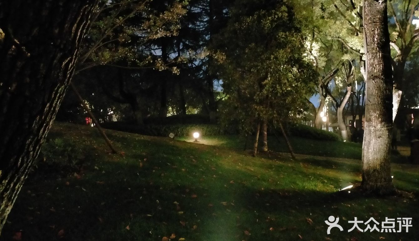 夜游南湖[调皮]