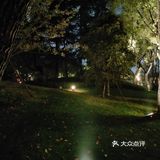 夜游南湖[调皮]
