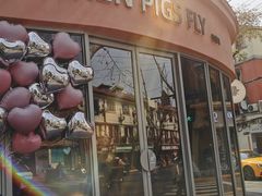 -WHEN PIGS FLY当猪飞