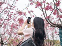 -梁鸿国家湿地公园