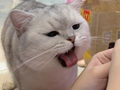-和气桃桃(宏伊广场店)