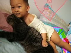 -纳吉亚猫专科动物诊疗中心(蒋宅口分院)