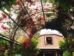 -The Grounds of Alexandria