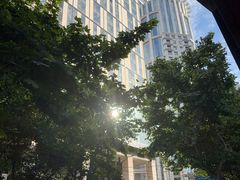 -上海大酒店(南京东路店)