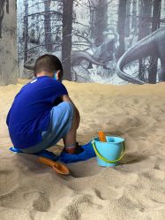 -恐龙探索乐园(磁器口店)