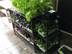 -旅马餐厅(茅家埠店)