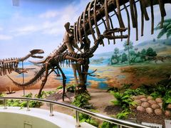 -延庆地质公园博物馆