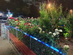 -张记焖窑·十五年专注焖烤(雍和宫店)