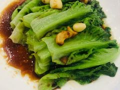 白灼菜心-粤珍轩·家宴·广式茶点(新城广场店)