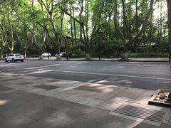 -也枫·小黄楼(南山路旗舰店)