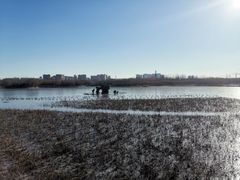 -大兴滨河森林公园