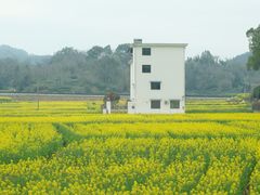 -新安江山水画廊风景区
