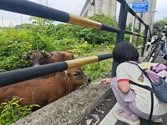 -广州市紫泥堂文化创意园景区