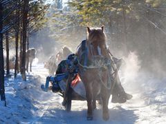 -北极村旅游风景区