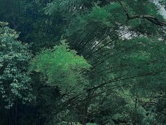 -桂林灵渠景区