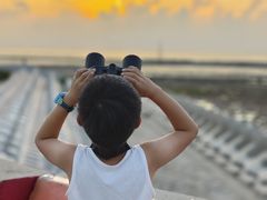 -南汇嘴观海公园