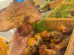 -鲜菌江湖正宗野生菌火锅