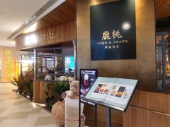 -大树餐厅(益田假日店)