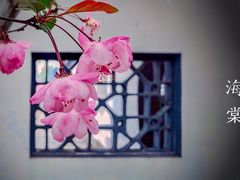 -莫愁湖公园