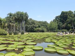 -中国科学院西双版纳热带植物园
