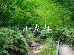 -龙苍沟森林公园