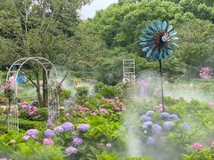 -上海共青森林公园