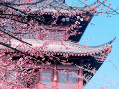 -堤角公园