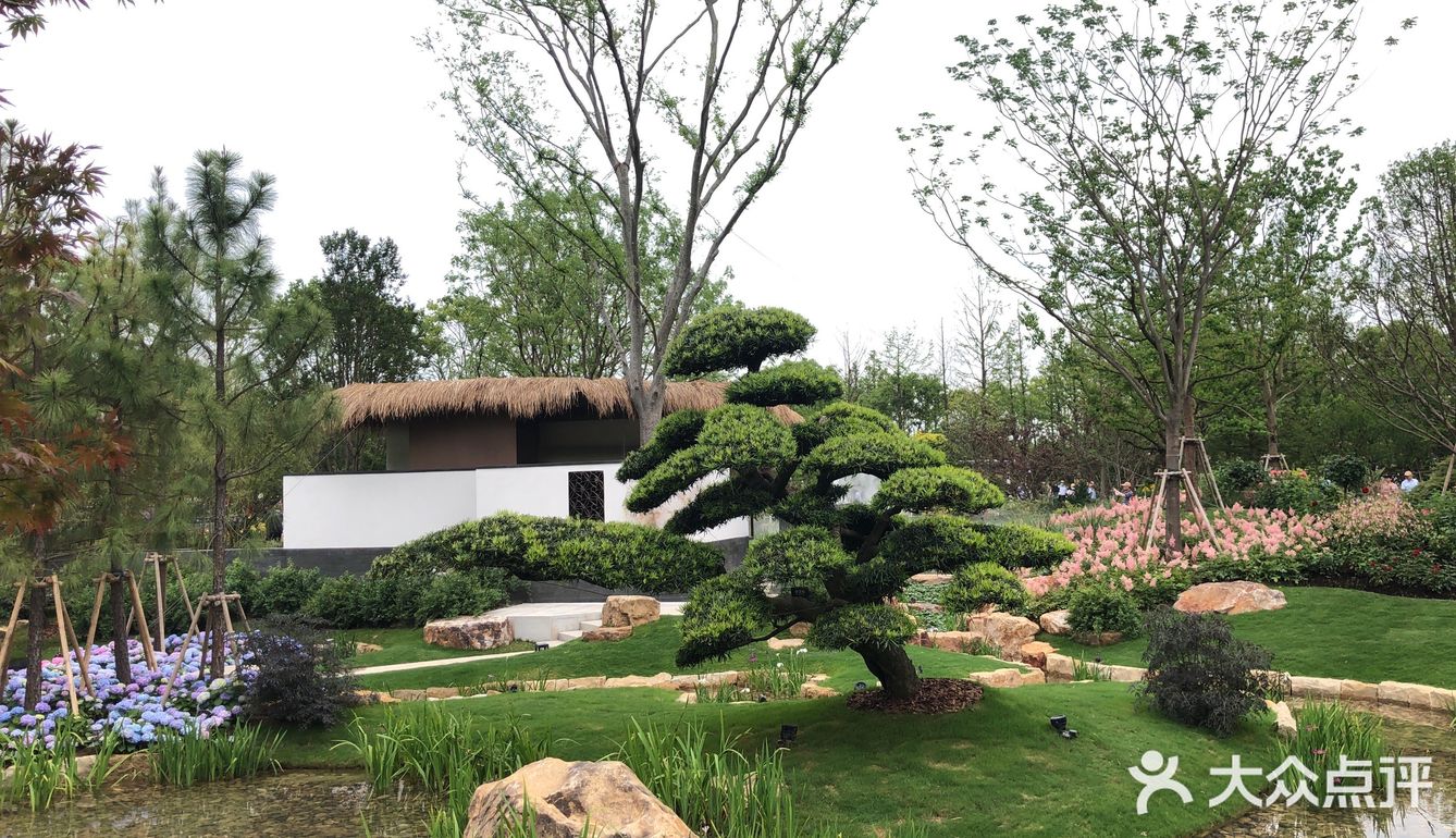 花开中国梦[加油][礼花][礼花][礼花]