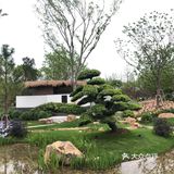 花开中国梦[加油][礼花][礼花][礼花]