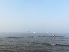 景点-鸽子窝公园