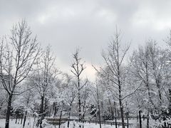 -北极寺公园