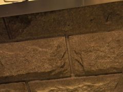 -清真·二嫂子煎饼果子(卫津路总店)