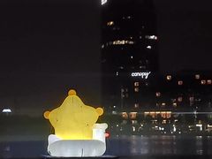 -金沙湖公园