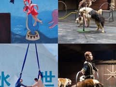 -汕头蓝水星欢乐世界
