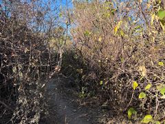 -北京西山国家森林公园