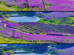 -华侨城阳宗海海景温泉