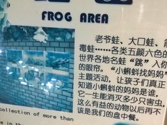-上海大自然野生昆虫馆(东方明珠·爬宠昆虫探索中心)