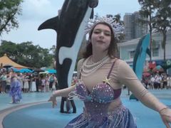-海合安成都极地海洋公园