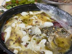 -宋小谨(惠安禹洲店)