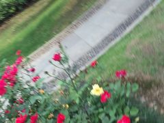 -孝子祠公园