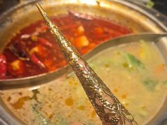 -熊喵来了火锅·牧场好肉(邯郸邯山万达店)