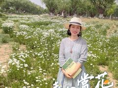 -汉长安城未央宫国家考古遗址公园