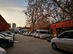 -东家小院金汤酸菜鱼(南阳路店)