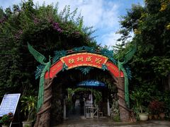 -瑞丽独树成林风景区