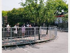 -嘉定紫藤园