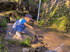 -大岭沟猕猴桃谷风景区